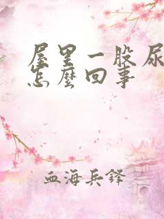 屋里一股尿骚味怎么回事