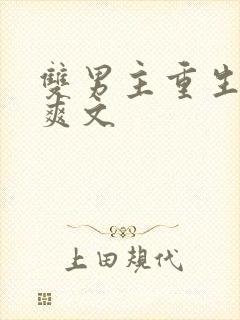 双男主重生复仇爽文