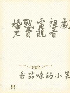 婚战电视剧全集免费观看