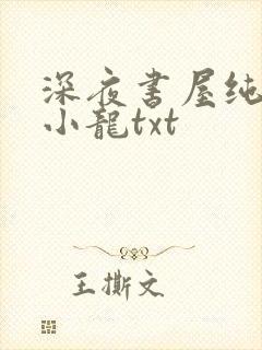 深夜书屋纯洁滴小龙txt