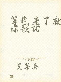 等我老了就去找你歌词