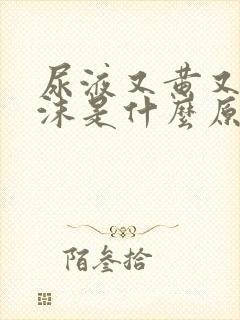 尿液又黄又有泡沫是什么原因