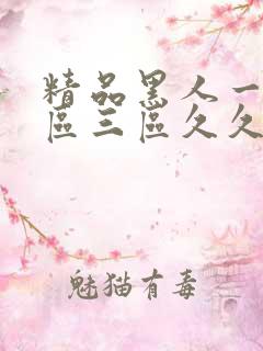 精品黑人一区二区三区久久