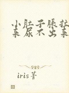 小肚子胀拉不出来尿不出来是什么原因