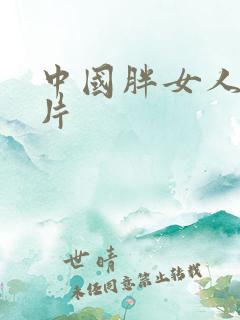 中国胖女人一级片