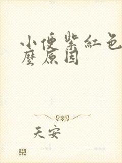 小便紫红色是什么原因