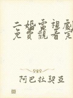 二婚电视剧全集免费观看完整版高清