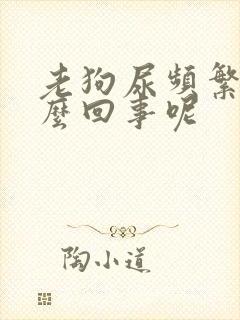 老狗尿频繁是怎么回事呢