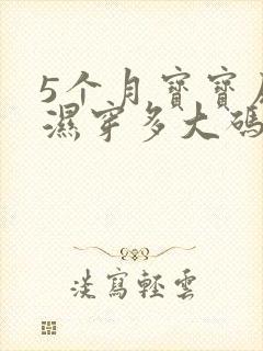 5个月宝宝尿不湿穿多大码