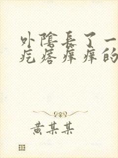 外阴长了一个小疙瘩痒痒的