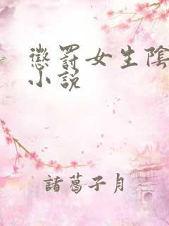 惩罚女生阴道的小说