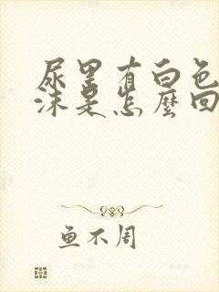 尿里有白色的泡沫是怎么回事