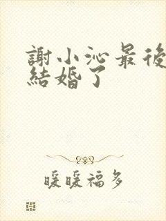 谢小沁最后和谁结婚了