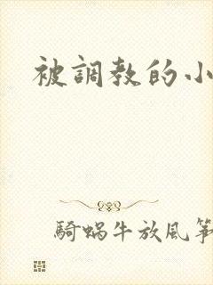 被调教的小骚货