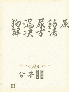 狗漏尿的原因和解决方法