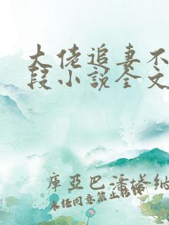 大佬追妻不择手段小说全文免费