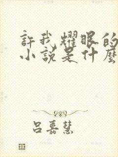 许我耀眼的原著小说是什么