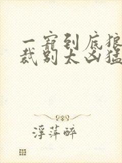 一宠到底狼性总裁别太凶猛