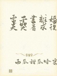 电子书离婚后前夫哭着求复婚