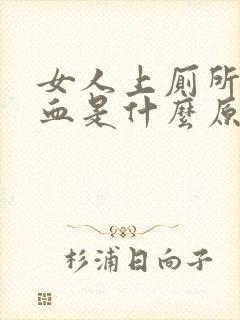 女人上厕所会出血是什么原因