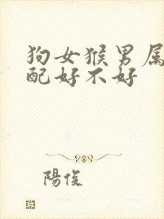 狗女猴男属相婚配好不好