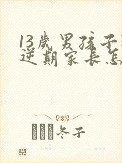 13岁男孩子叛逆期家长怎么做