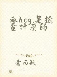 血hcg 是检查什么的