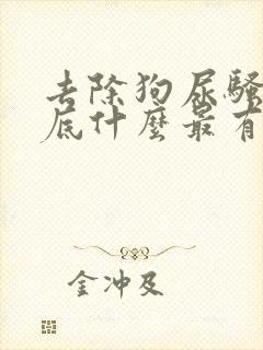 去除狗尿骚味到底什么最有效