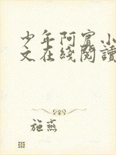 少年阿宾小说全文在线阅读