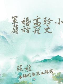 军婚高干小说推荐甜宠文