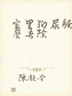 家里狗尿骚味怎么去除