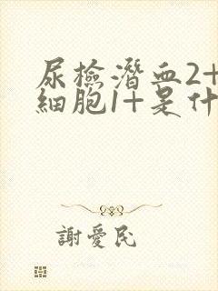 尿检潜血2+白细胞1+是什么意思