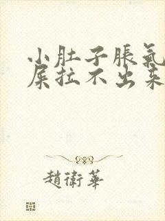 小肚子胀气想拉屎拉不出来怎么回事