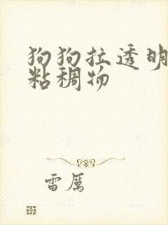 狗狗拉透明果冻粘稠物