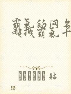 霸气的网名男生超拽霸气十足