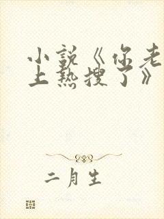 小说《你老婆又上热搜了》