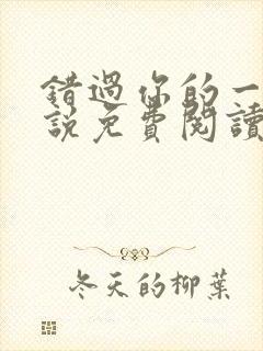 错过你的一切小说免费阅读全文最新章节