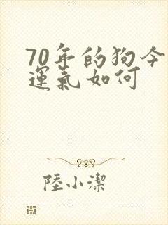 70年的狗今天运气如何