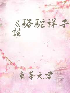 《骆驼祥子》小说