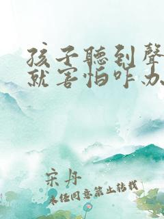 孩子听到声音大就害怕咋办