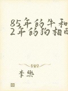 85年的牛和82年的狗相配吗