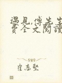 遇见,傅先生免费全文阅读