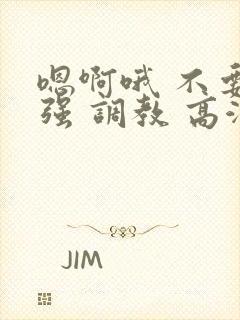 嗯啊哦 不要 强 调教 高潮