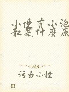 小便有小泡沫不散是什么原因