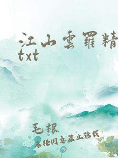 江山云罗精校版txt