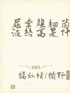 尿常规细菌和粘液丝高是什么意思