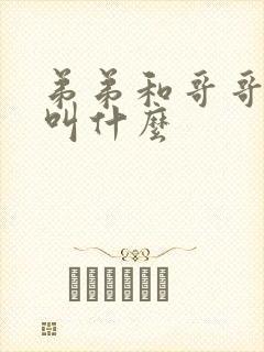 弟弟和哥哥关系叫什么