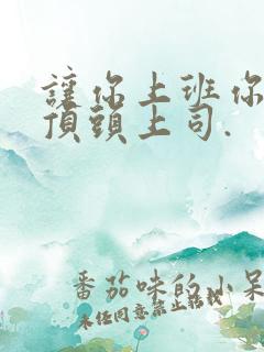 让你上班你娶了顶头上司.