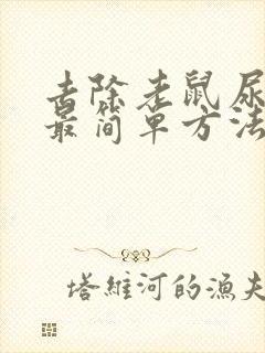 去除老鼠尿骚味最简单方法