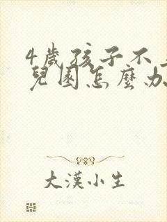 4岁孩子不上幼儿园怎么办